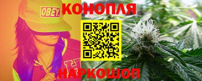 Альфа ПВП Сланцы