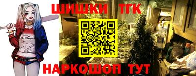 Альфа ПВП Сланцы