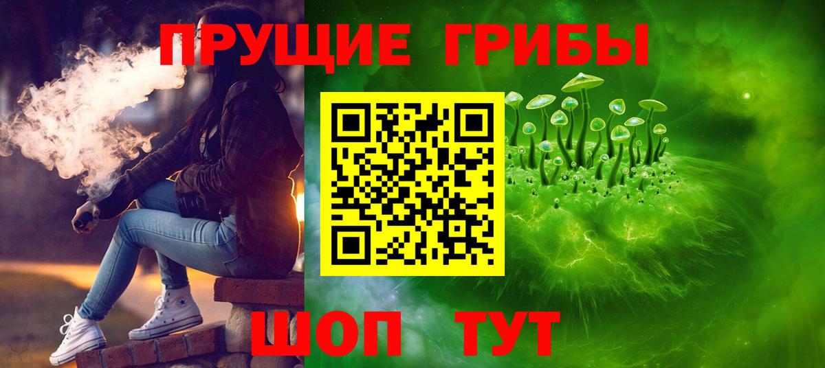 Галлюциногенные грибы Cubensis Фролово